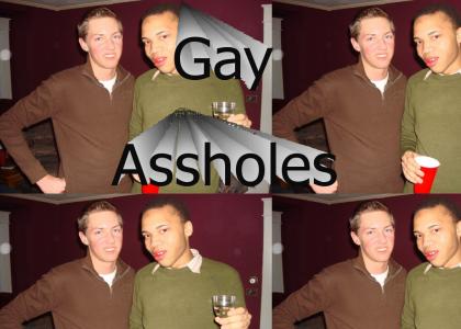 Gay assholes