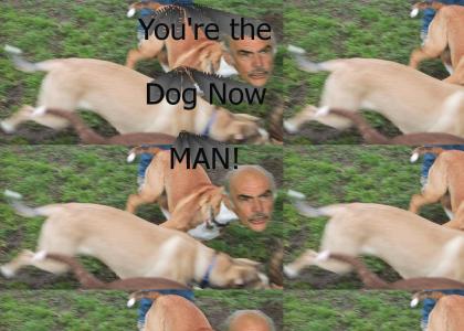 You're The Dog Now Man!