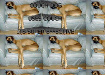 Couch Dog!
