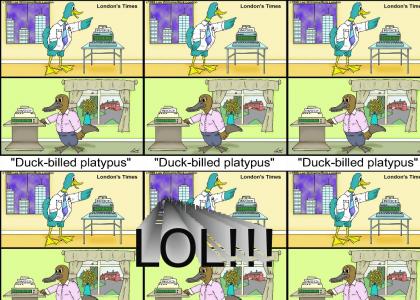 Duck Billed Platypus! LOL!
