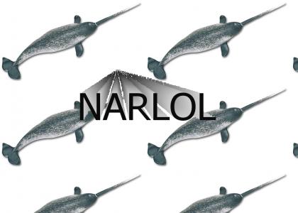 Here comes a narwhal!
