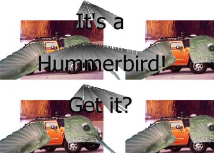 It's a Hummerbird!