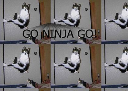 Gravity Ninja Cat