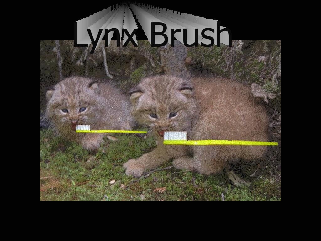 lynxbrush