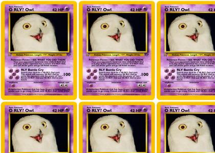 PokeMND - O RLY? Owl