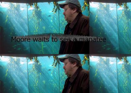 Michael Moore waits to see a manatee