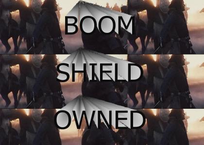 shield PWNED