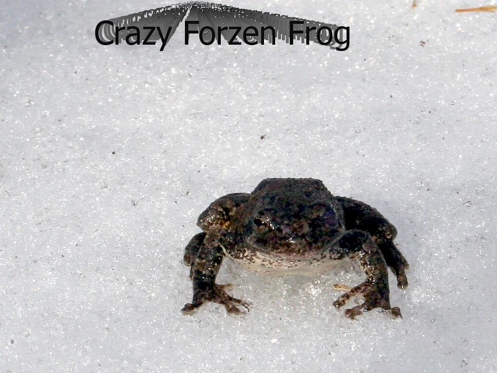 frozenfrog