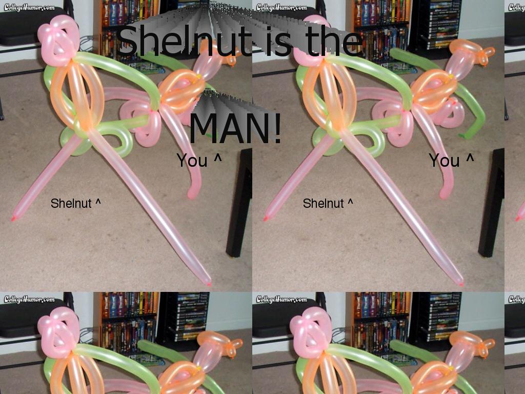 shelnut