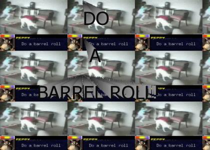 DO A BARREL ROLL!