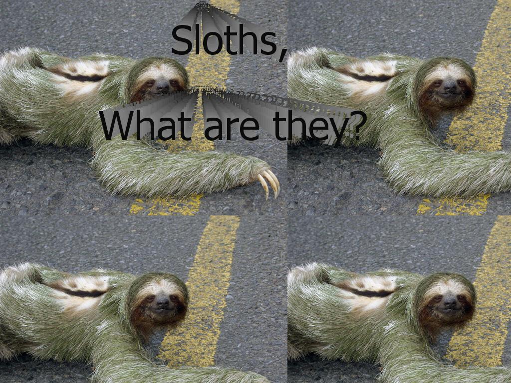 sloths