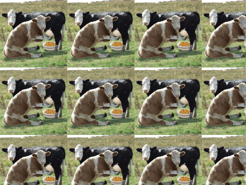 milkcow