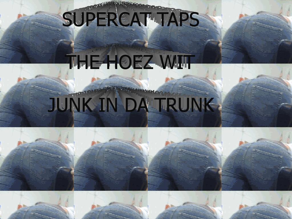 Supercatjunkintrunk