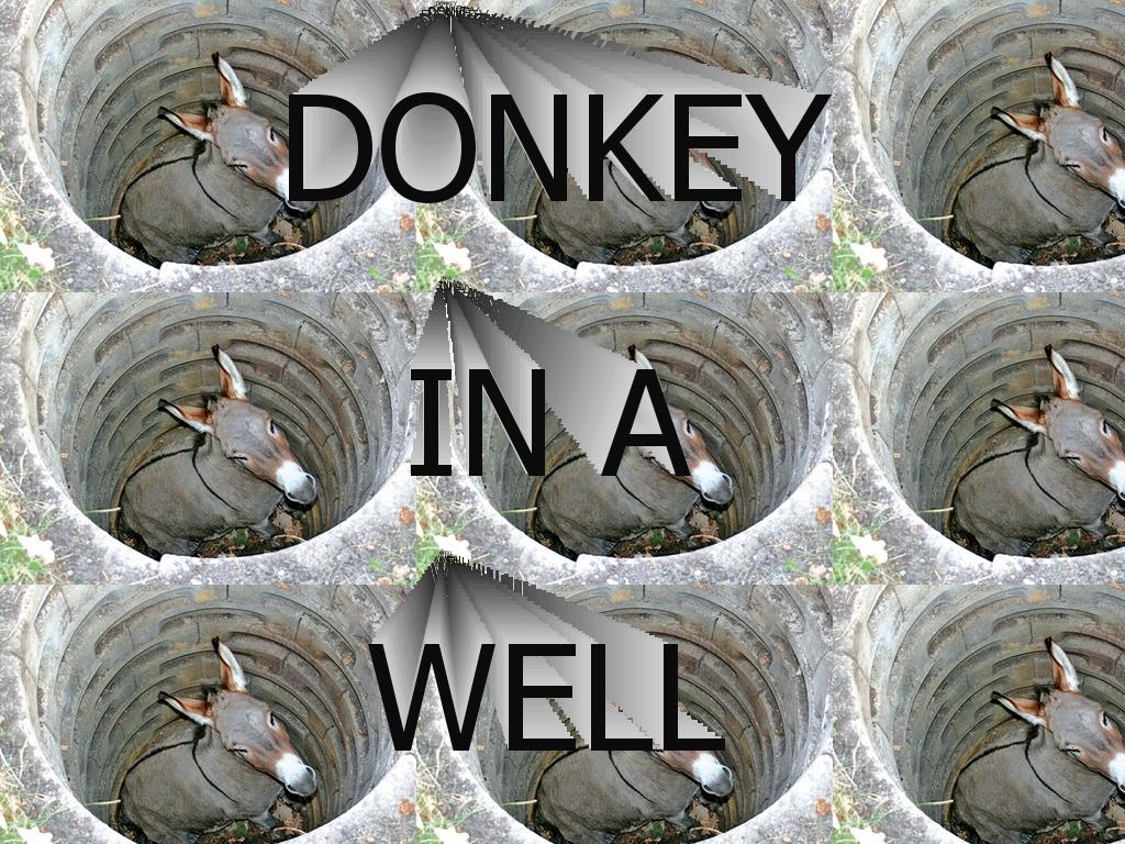 welldonkey