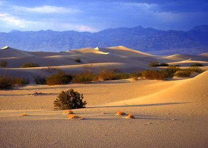 Abandoned Desert