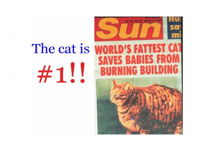 The cat is #1!!