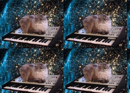 cat on a keyboard in space