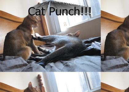 Cat Punch!!