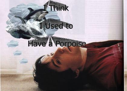 Used to Have a Porpoise