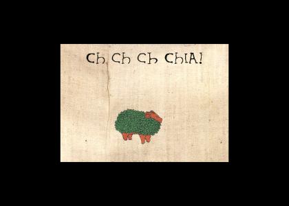 Medieval CHIA!