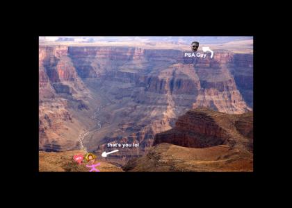 PSA Guy yells at you from across the Grand Canyon