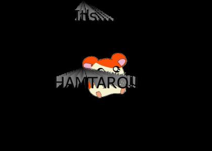 Hamtarotolove