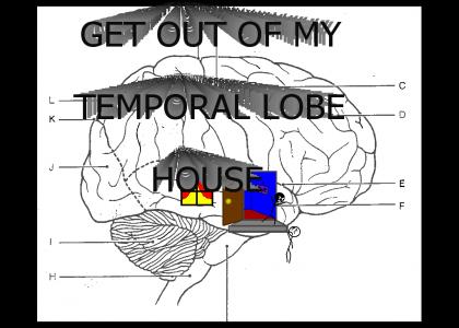 Get out of my temporal lobe house!