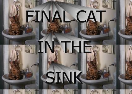 FINAL CAT IN THE SINK