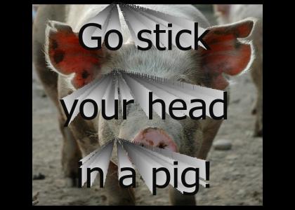 Go stick your head in a pig!