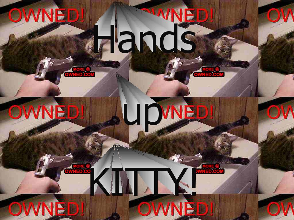 HANDSUPKITTY-URUNDERARREST