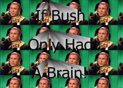 If Bush Only Had A Brain