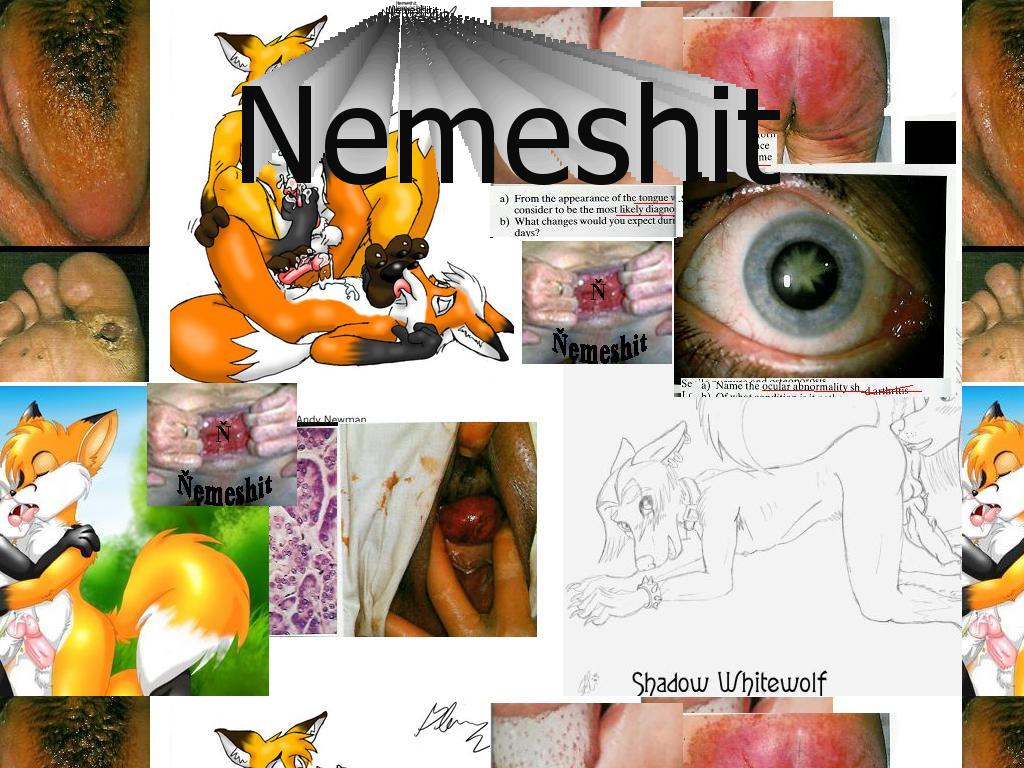 nemeshit11111111111