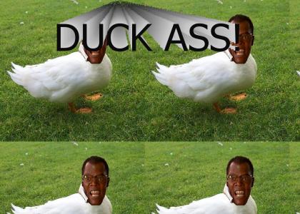 Duck Ass!