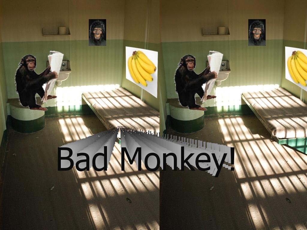 Monkeyprison