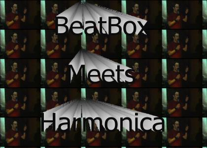 BeatBoxMeetsHarmonica(fixed)