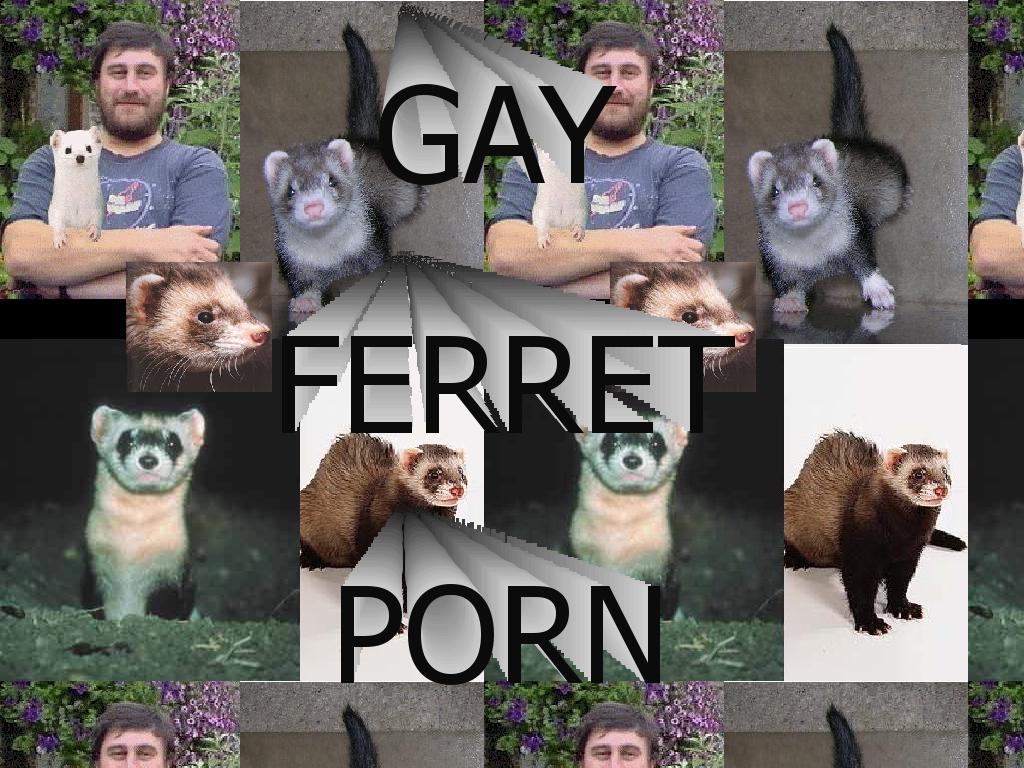 ferretporn