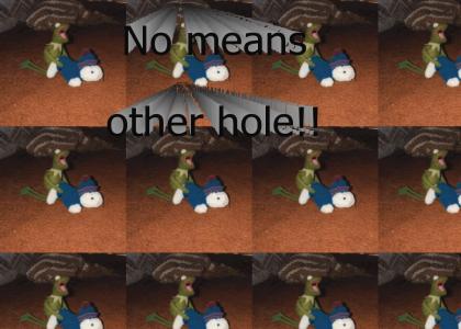 No Means Other Hole