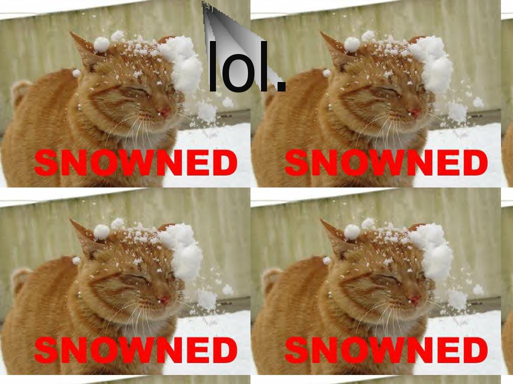 snowned