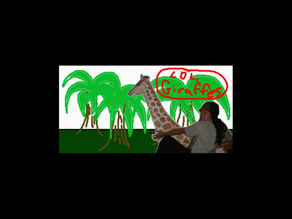loljamiesgiraffes