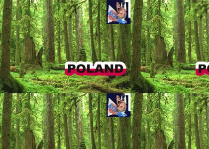 OMG SECRET TEKSOQP FOREST IN POLAND