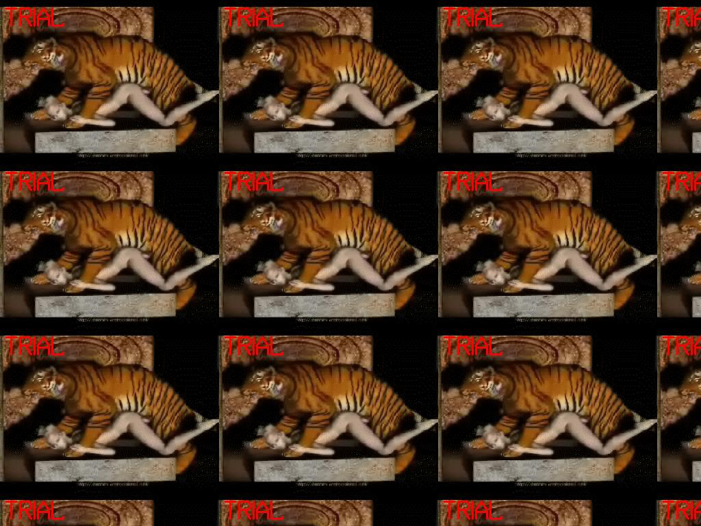 tigershandheldfuck