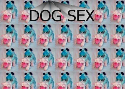 Retarded dog sex