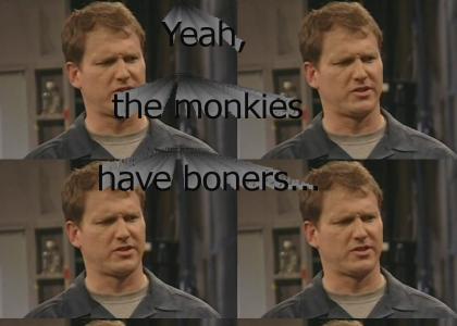Yeah, the monkies have boners...