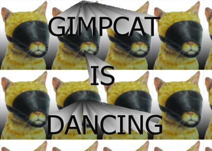 gimpcat