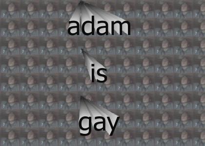 adam is gay