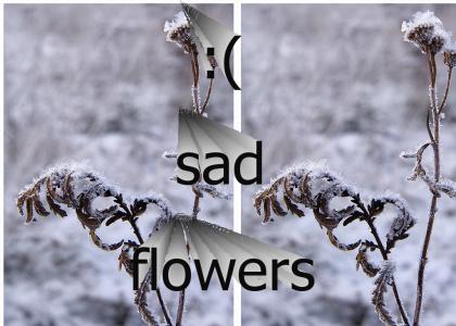 Emo Flowers