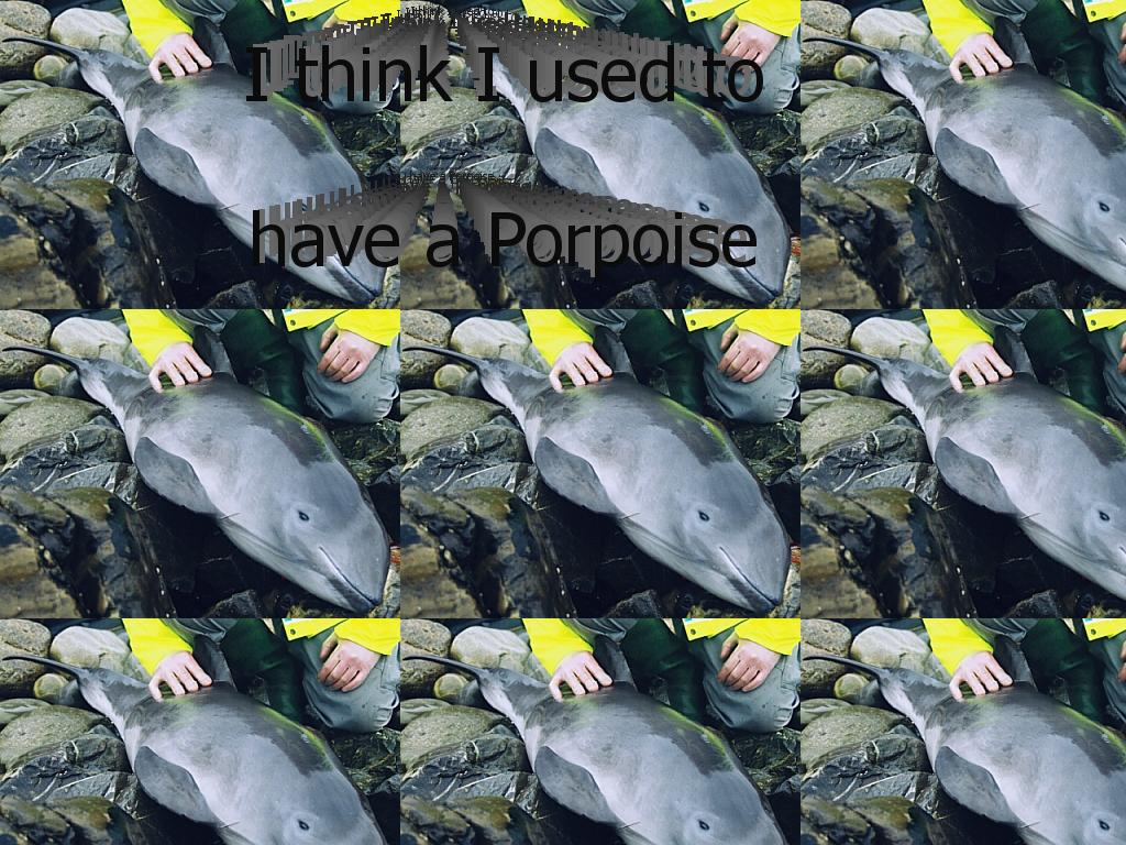 nineinchporpoise