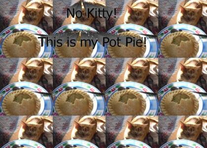 Kitty Pot Pie