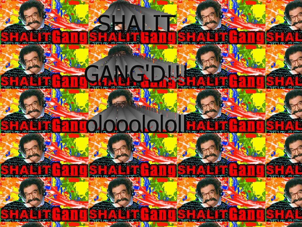 shalitgang