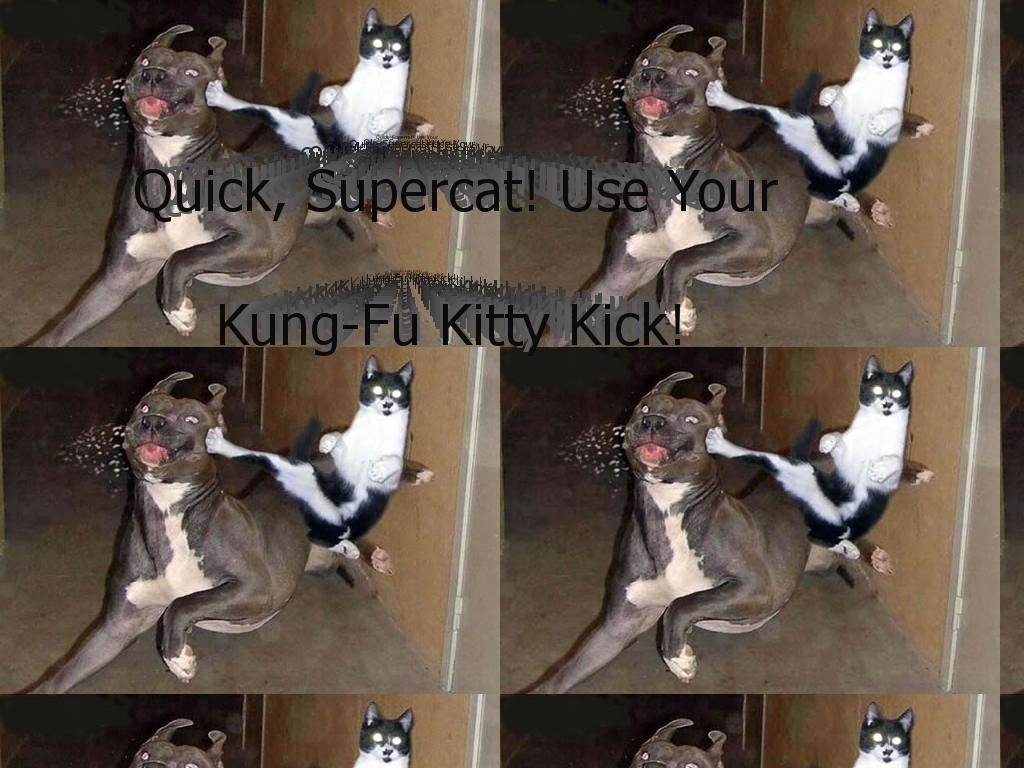 epicsupercatbattle